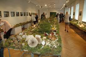 National History Museum of Latvia